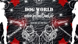 Pitbull2mk De Wall 2-300x168 in Guten Morgen Welt, so schaut das hier z.Zt. aus …