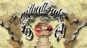 Pitbull2mk Since 1981 Wall01 2011-300x168 in Wallpaper Area Bereich
