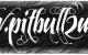 www.pitbull2mk.de.header