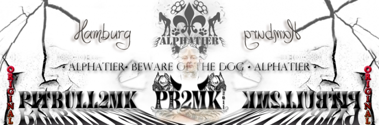 Facebook Banner